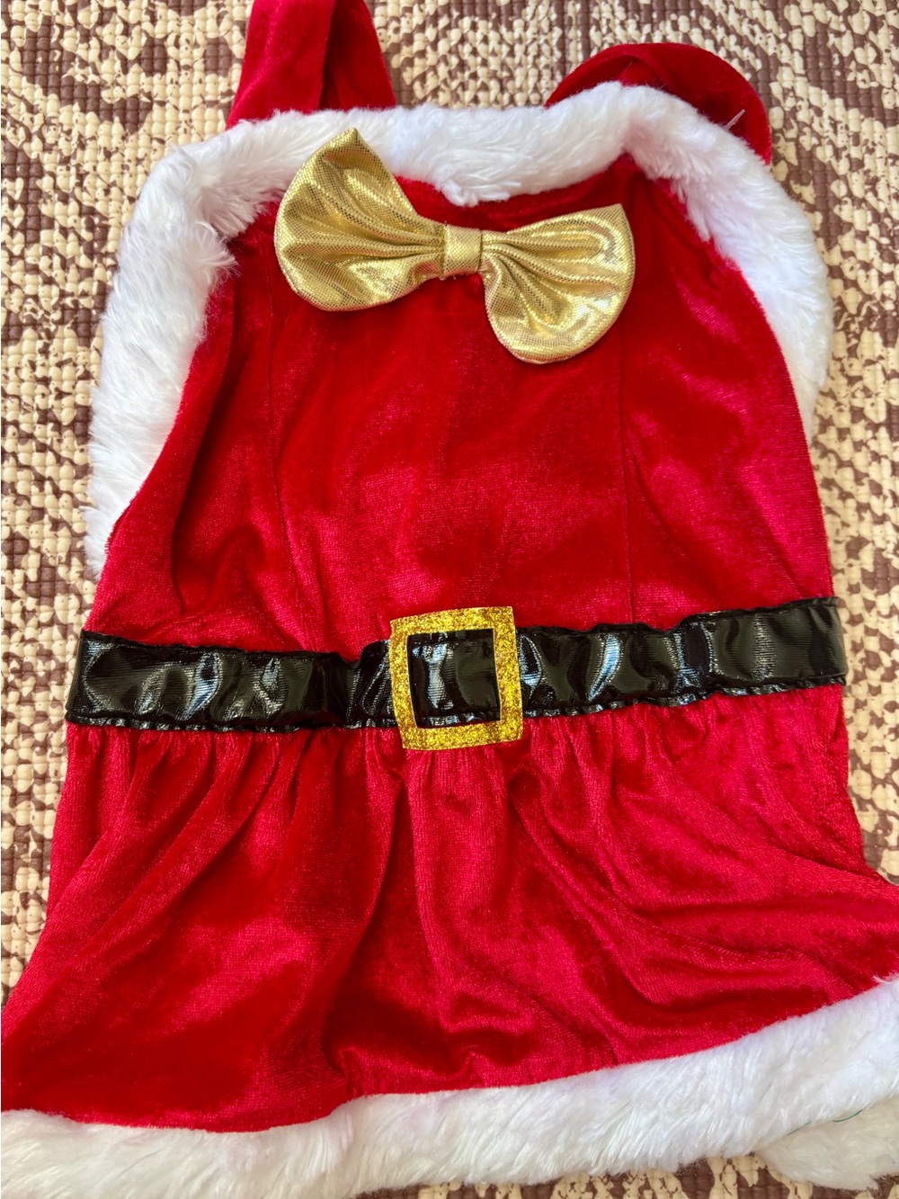 Santa Dog Costume